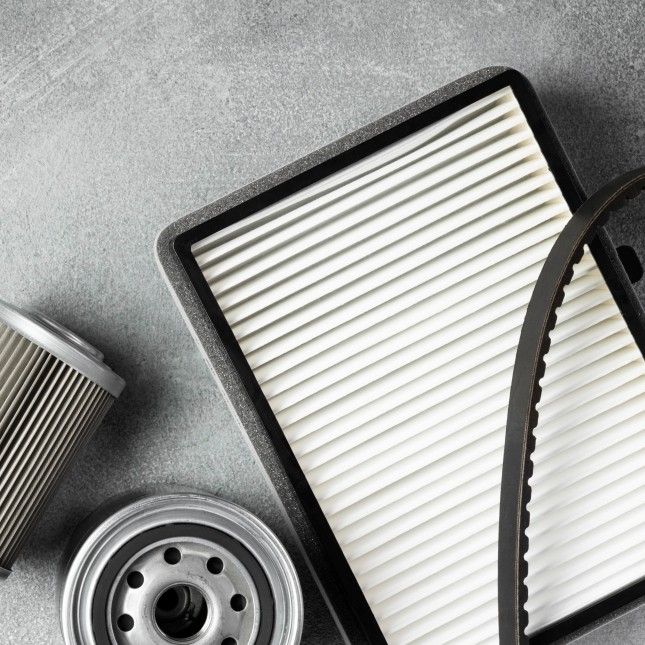 Araç İçi Hava Kalitesi ve Polen Filtresi Seçimi Bahar Döneminde