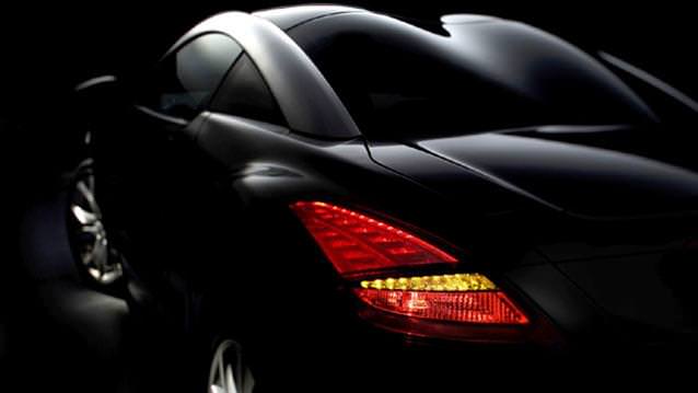 Vahşi aslan kafesten çıkıyor