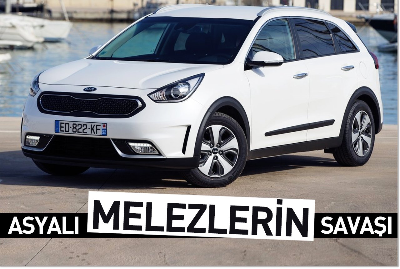 Asyalı melezlerin savaşı