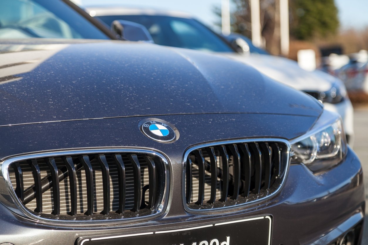 Sonunda ortaya çıktı